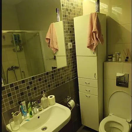 Apartmane Trg Save Vukosavljeva Novi Sad